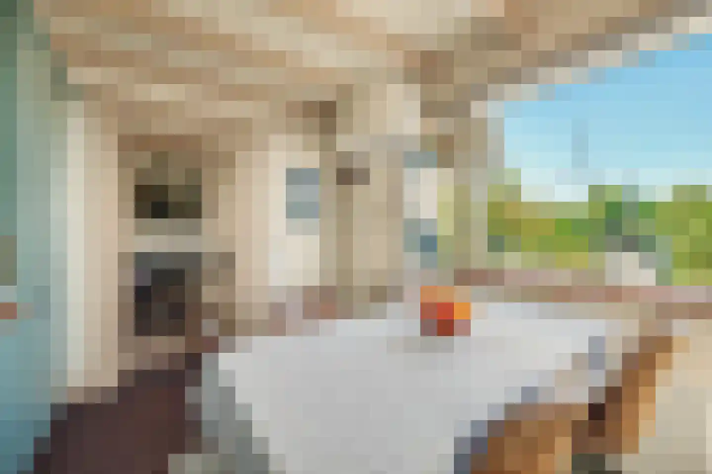 Rijksweg 13 Nieuwerkerk thumbnail 23