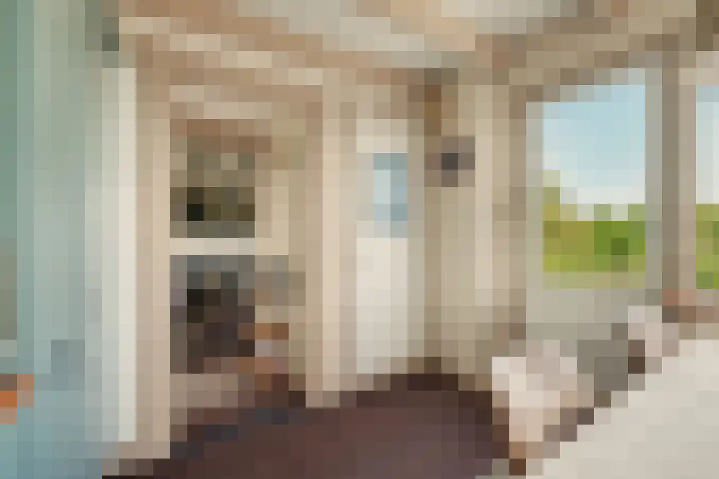 Rijksweg 13 Nieuwerkerk thumbnail 24
