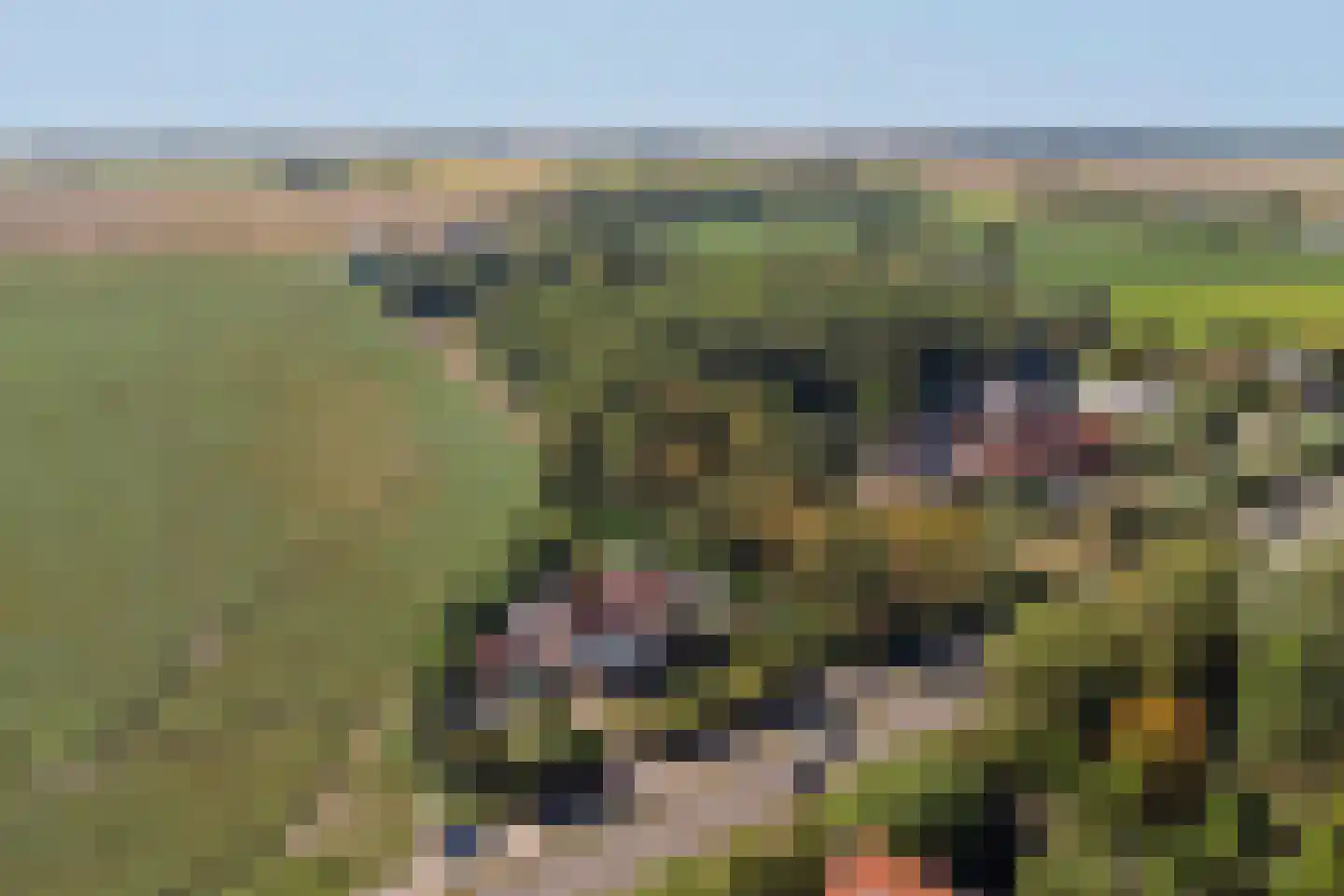 Rijksweg 13 Nieuwerkerk thumbnail 43