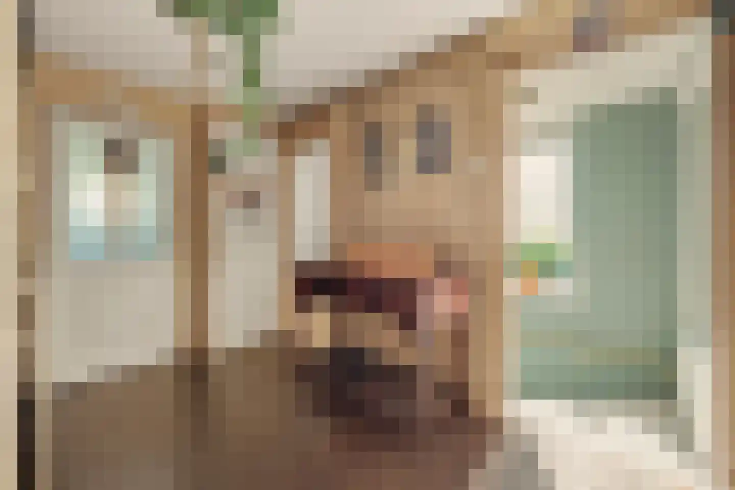 Rijksweg 13 Nieuwerkerk thumbnail 9