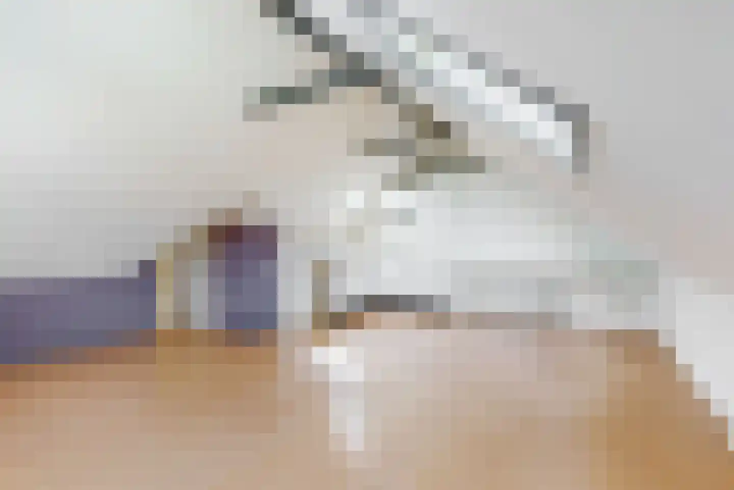 Rijksweg 132 b Limmen thumbnail 22