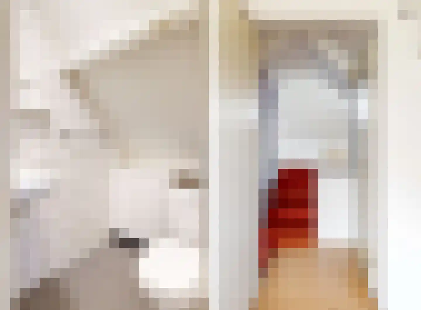 Rijksweg 132 b Limmen thumbnail 27