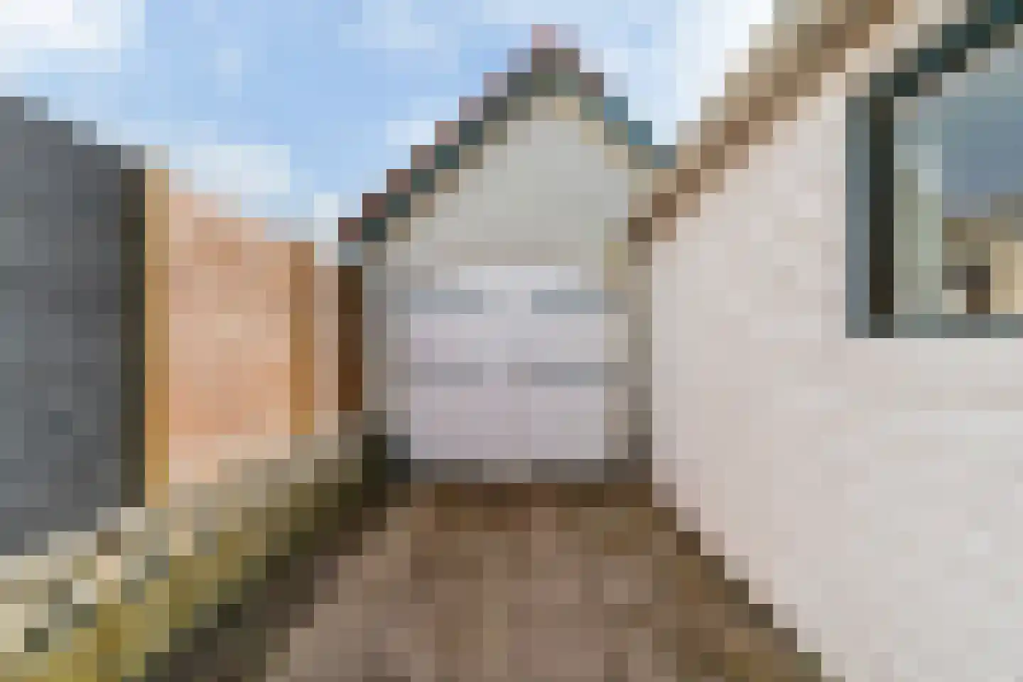 Rijksweg 132 b Limmen thumbnail 31