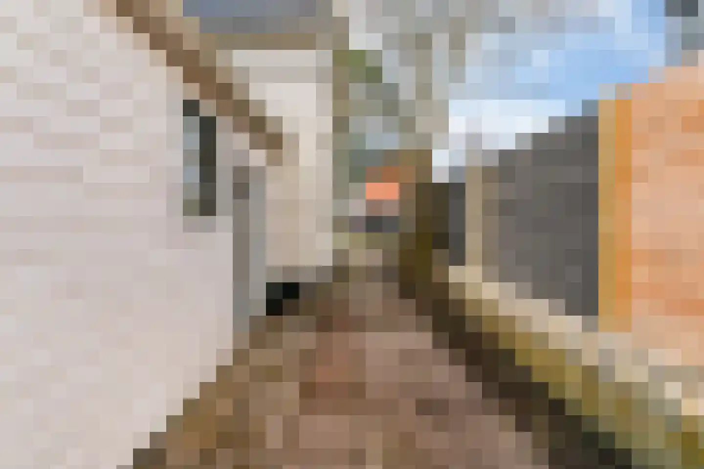 Rijksweg 132 b Limmen thumbnail 32
