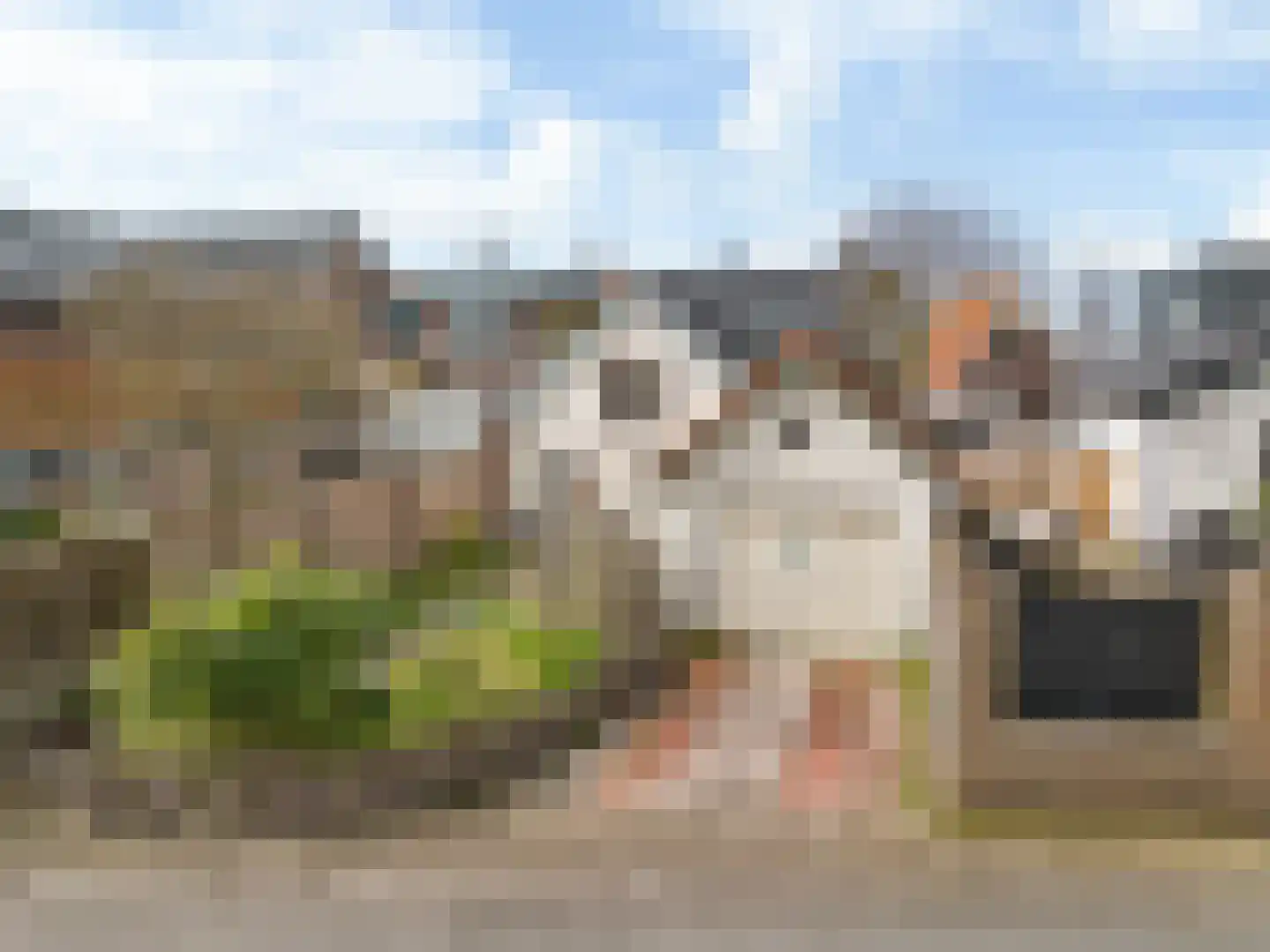 Rijksweg 132 b Limmen thumbnail 4