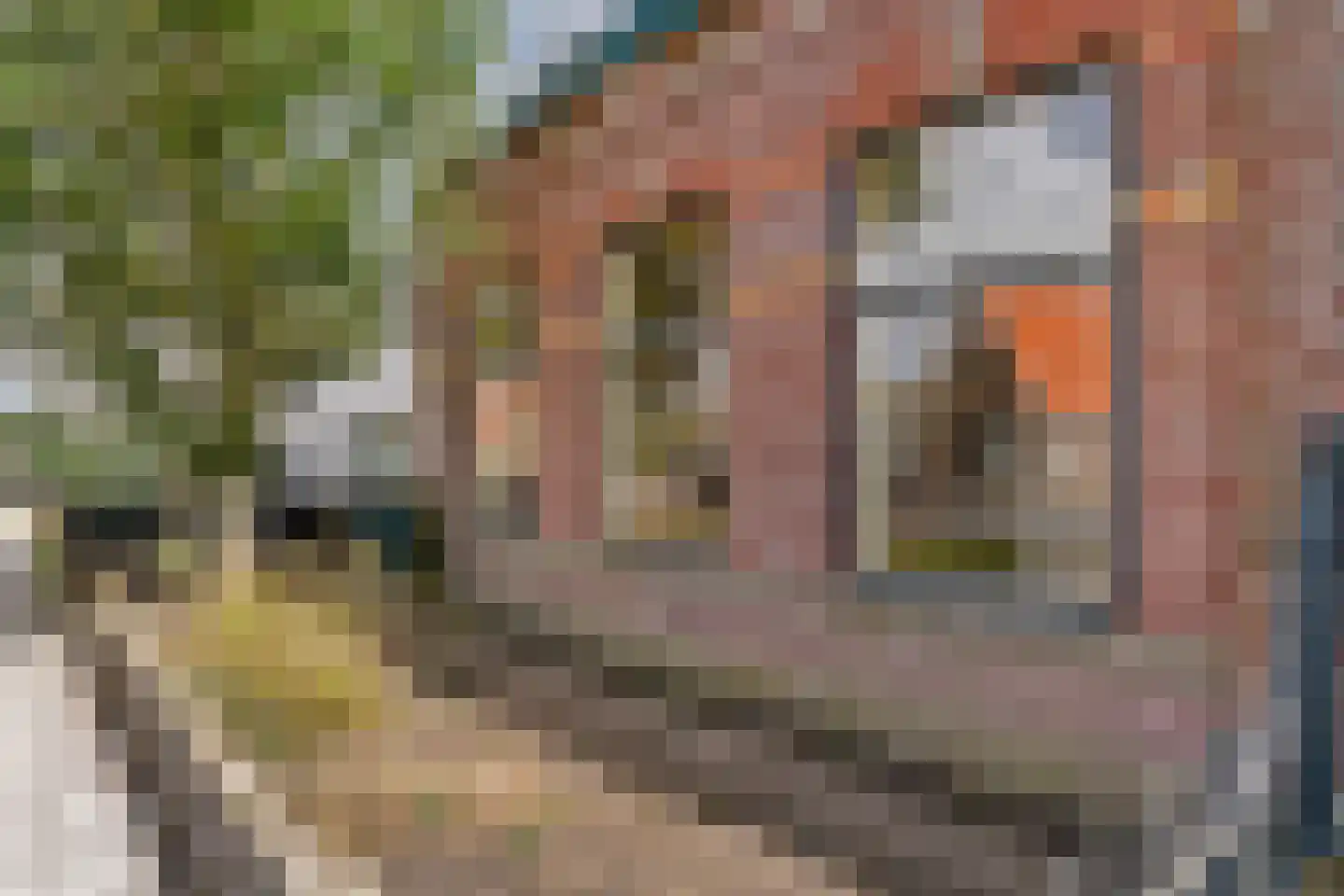 Rijksweg 132 b Limmen thumbnail 5