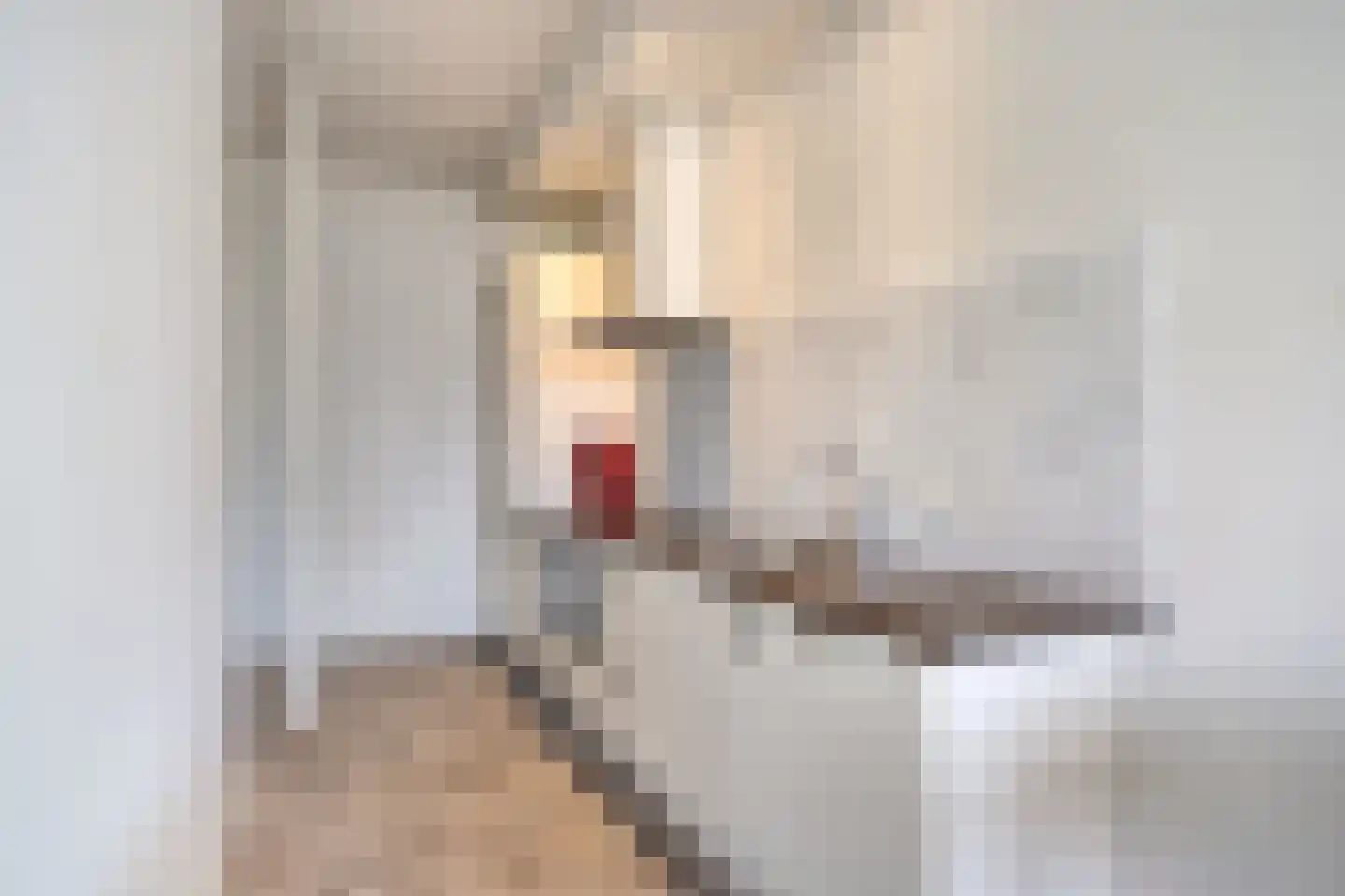 Rijksweg 132 Limmen thumbnail 11