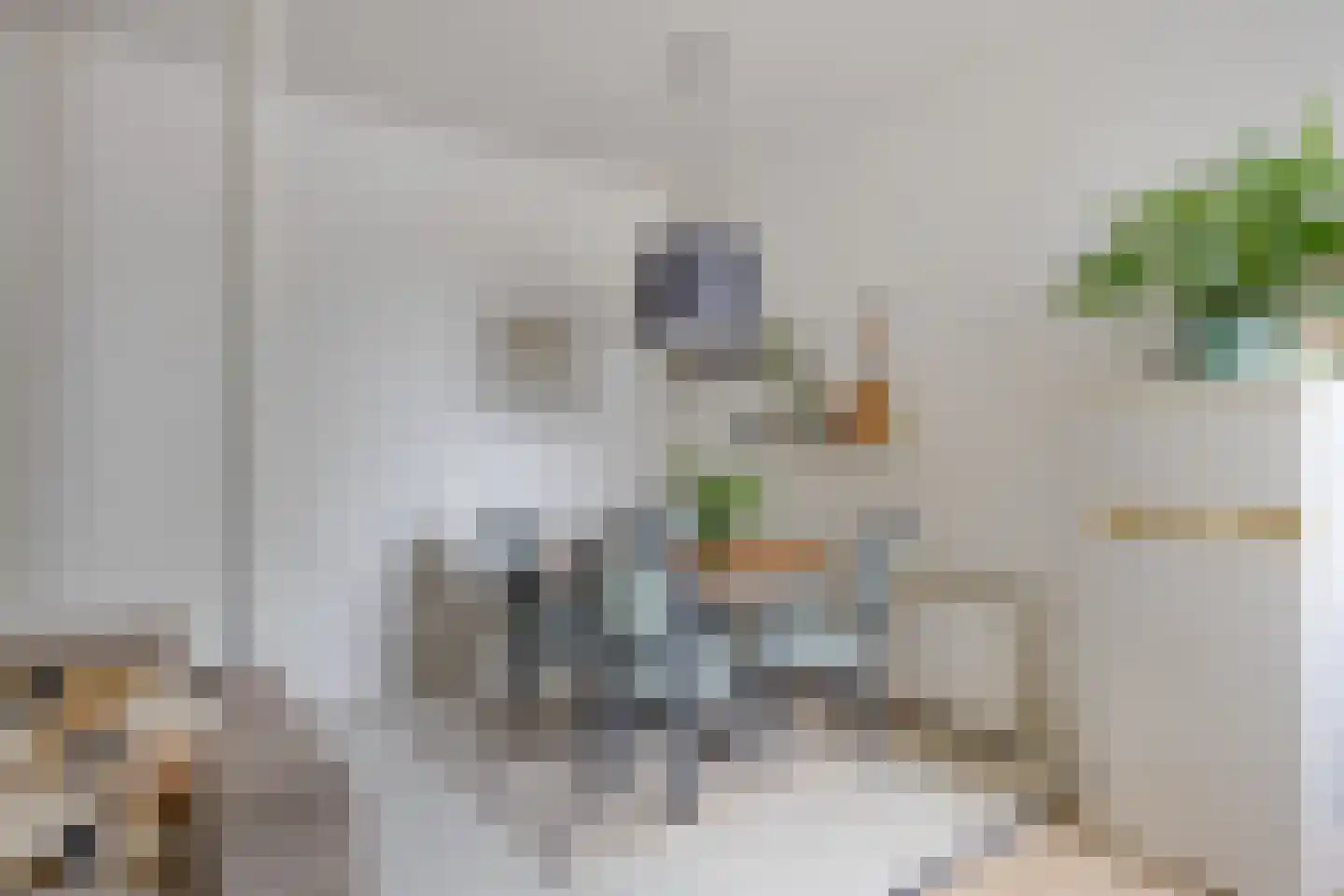 Rijksweg 132 Limmen thumbnail 23