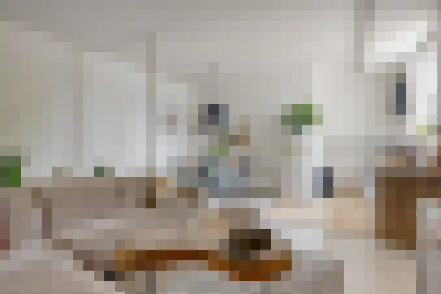 Rijksweg 132 Limmen thumbnail 25