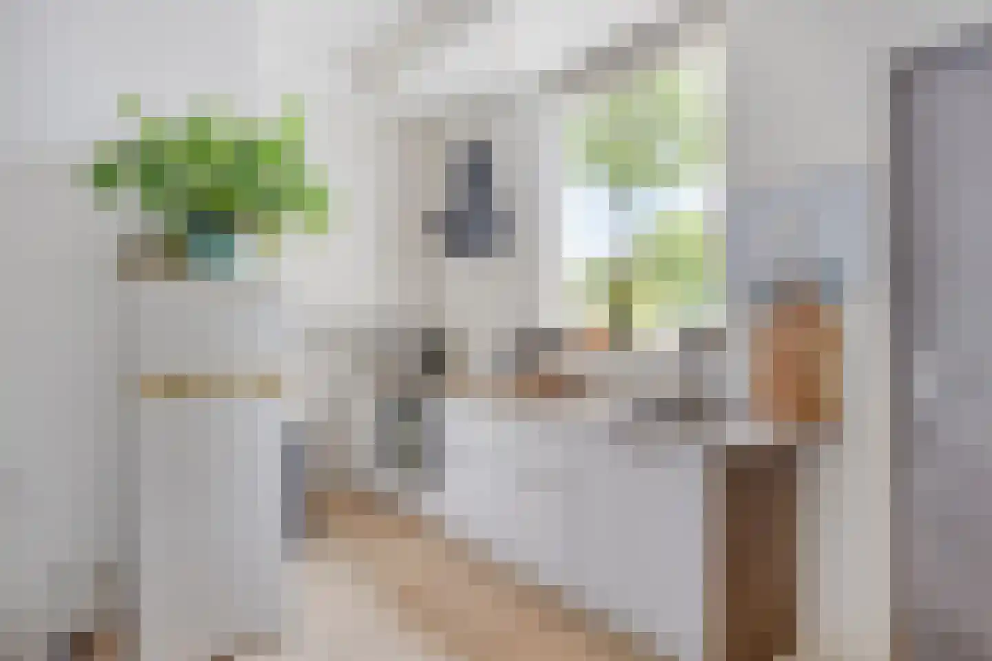 Rijksweg 132 Limmen thumbnail 26