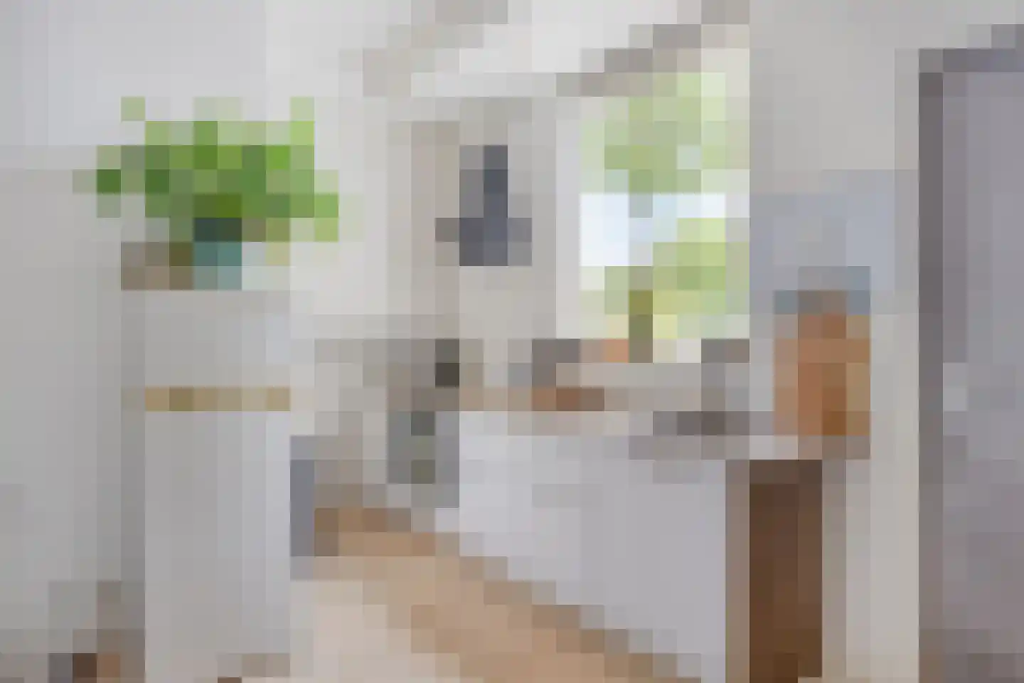 Rijksweg 132 Limmen thumbnail 27