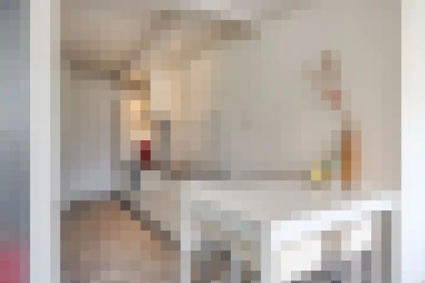 Rijksweg 132 Limmen thumbnail 9