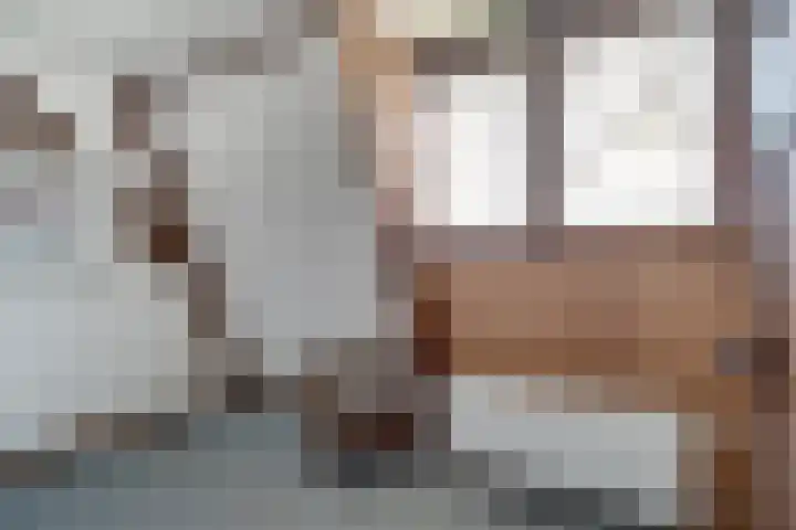 Rijksweg 133 Malden thumbnail 26