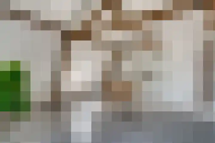 Rijksweg 133 Malden thumbnail 32