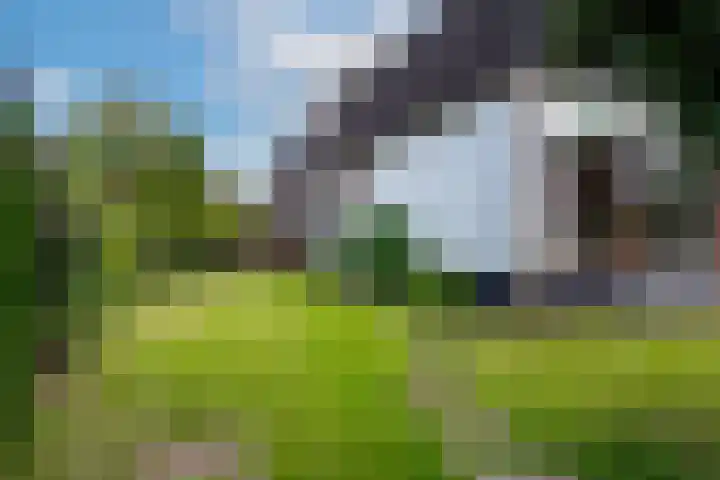 Rijksweg 133 Malden thumbnail 57