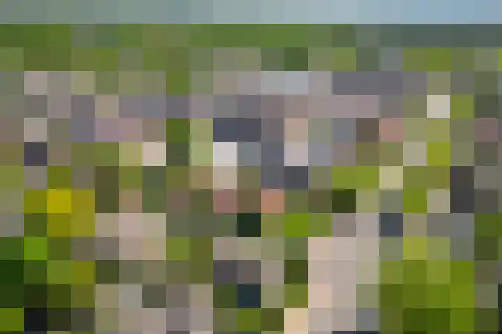 Rijksweg 133 Malden thumbnail 65