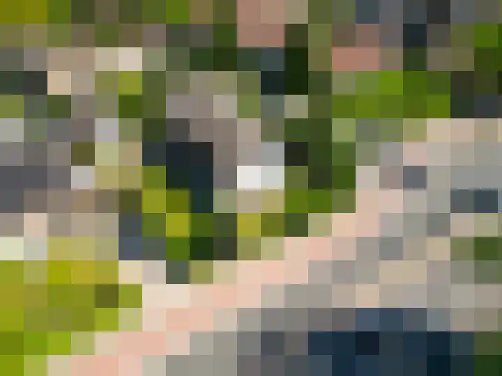 Rijksweg 133 Malden thumbnail 78