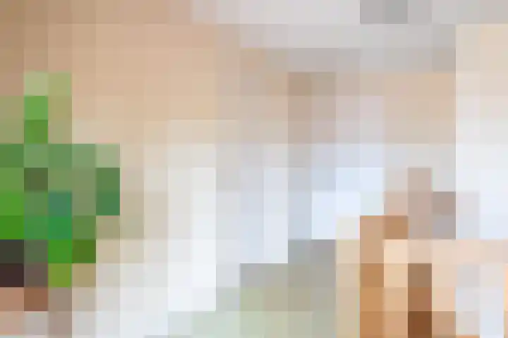 Rijksweg 133 Mook thumbnail 12