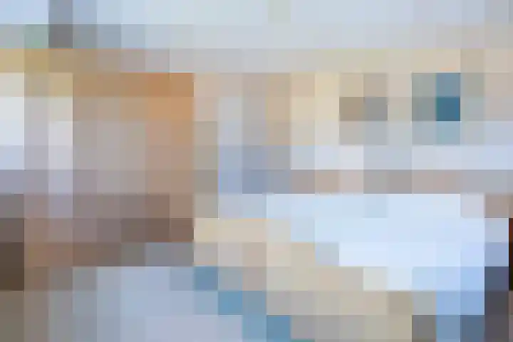 Rijksweg 133 Mook thumbnail 13