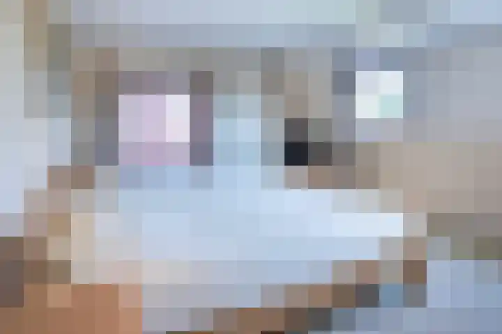 Rijksweg 133 Mook thumbnail 14