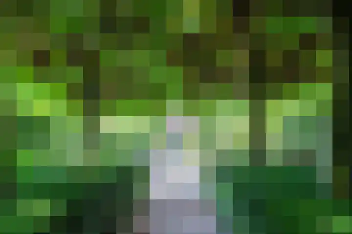 Rijksweg 133 Mook thumbnail 24