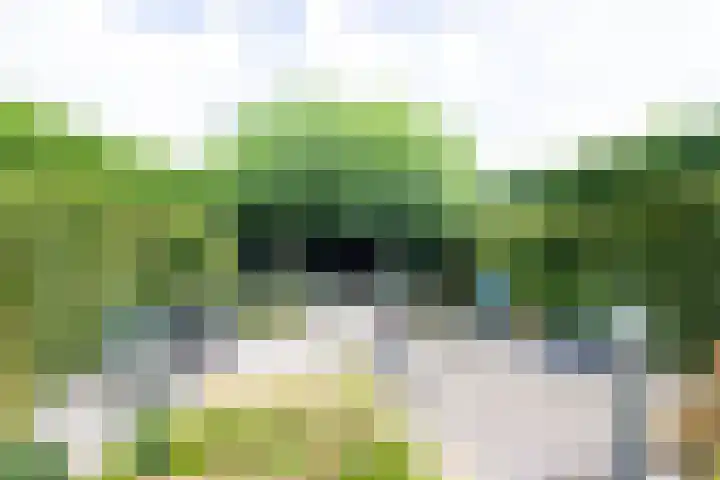 Rijksweg 133 Mook thumbnail 26