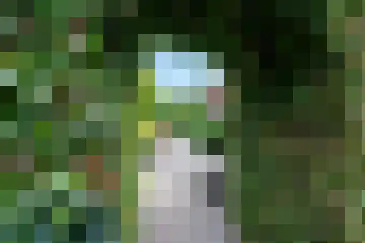 Rijksweg 133 Mook thumbnail 31
