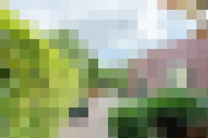 Rijksweg 133 Mook thumbnail 32