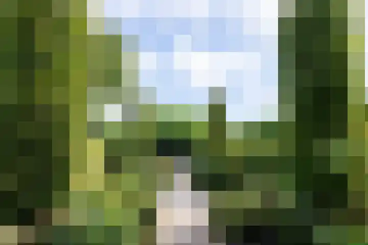 Rijksweg 133 Mook thumbnail 4