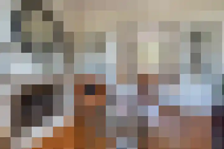 Rijksweg 133 Mook thumbnail 6