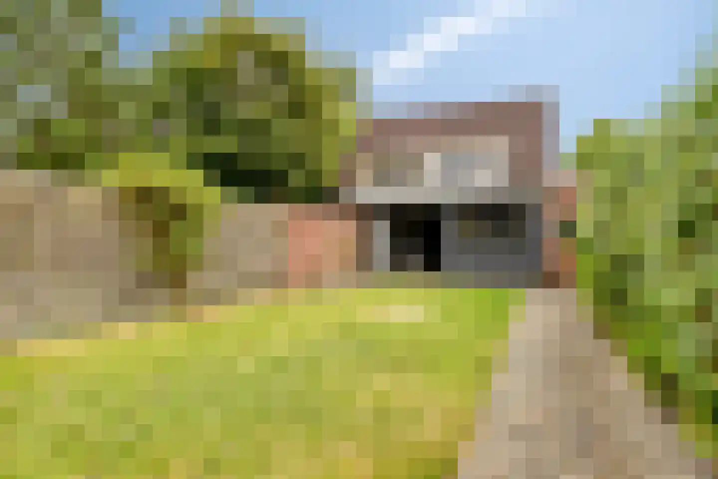 Rijksweg 135 Gaanderen thumbnail 30