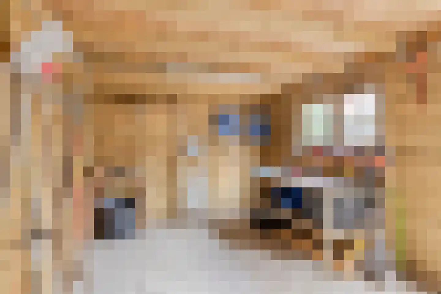 Rijksweg 135 Gaanderen thumbnail 37
