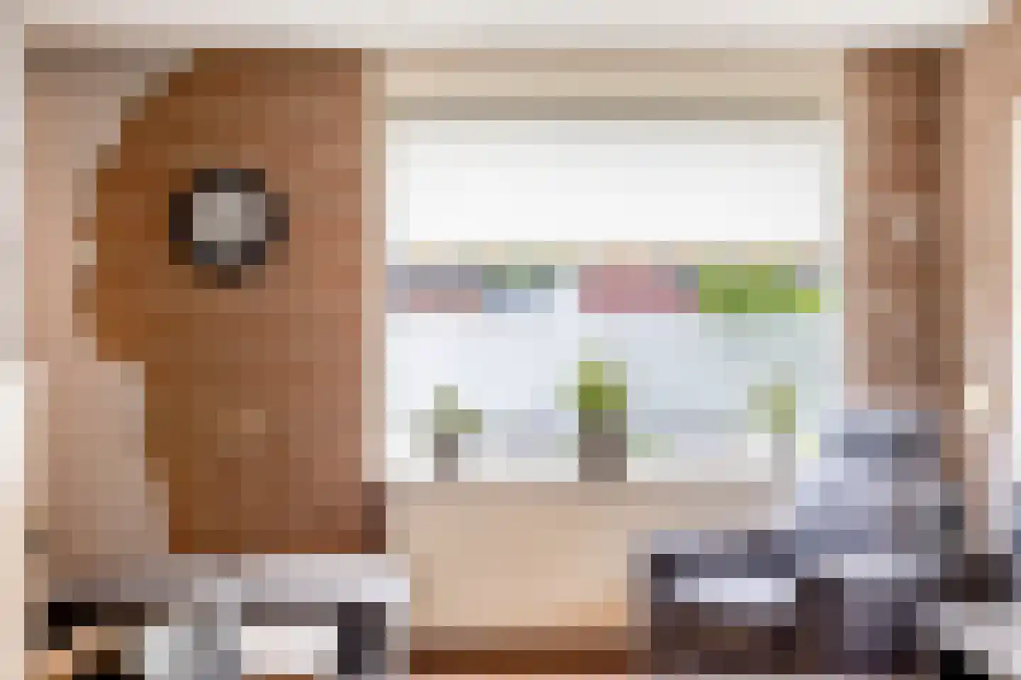 Rijksweg 135 Gaanderen thumbnail 5