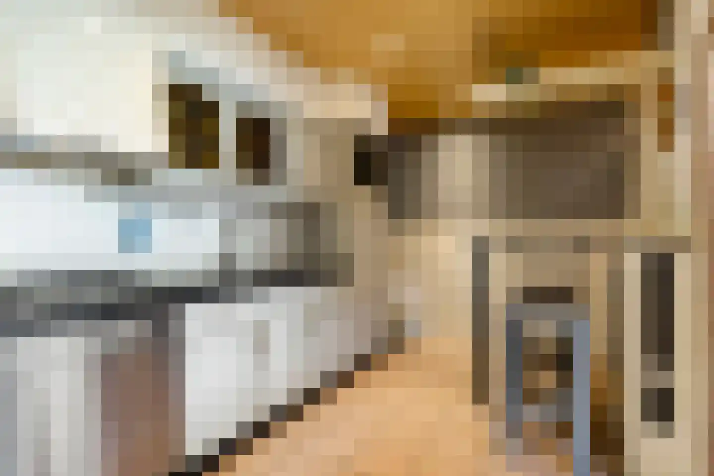 Rijksweg 135 Gaanderen thumbnail 9