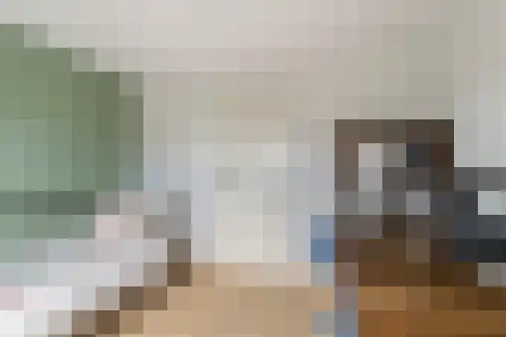 Rijksweg 136 b Limmen thumbnail 24