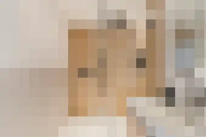 Rijksweg 136 b Limmen thumbnail 25