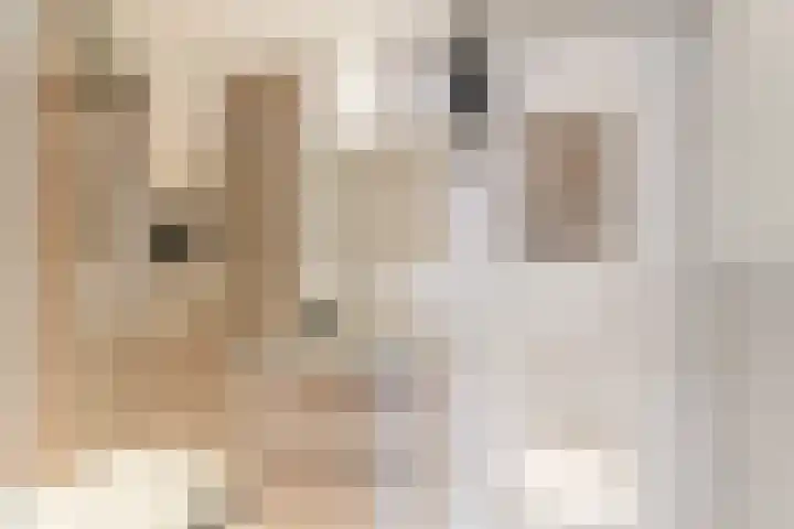 Rijksweg 136 b Limmen thumbnail 27