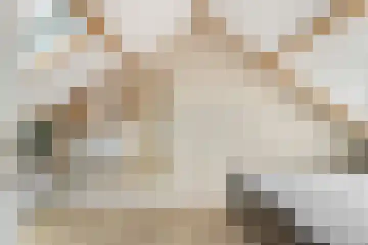Rijksweg 136 b Limmen thumbnail 31