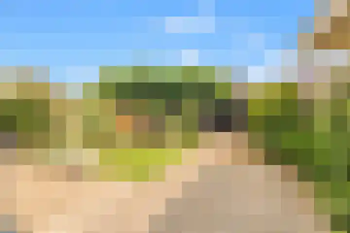 Rijksweg 136 b Limmen thumbnail 34