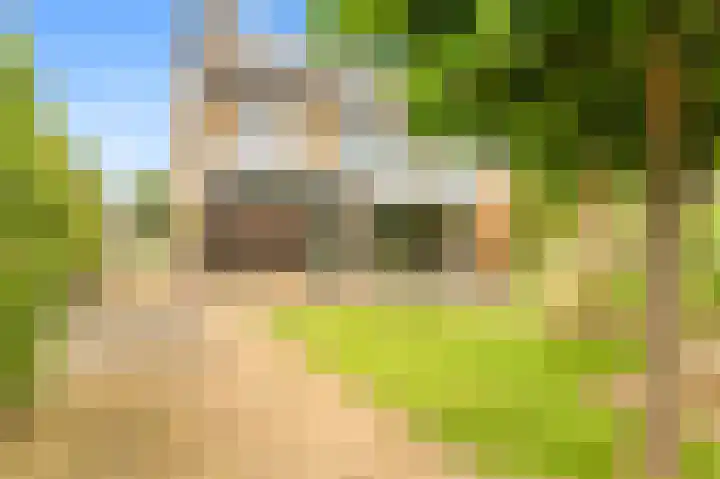 Rijksweg 136 b Limmen thumbnail 35