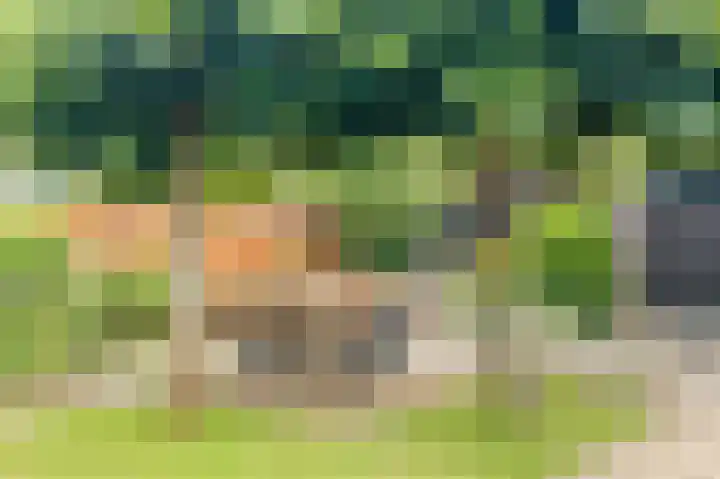 Rijksweg 136 b Limmen thumbnail 37