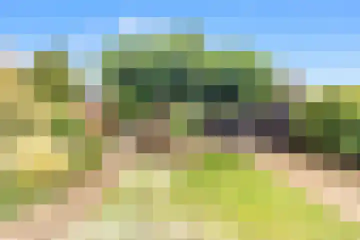 Rijksweg 136 b Limmen thumbnail 38