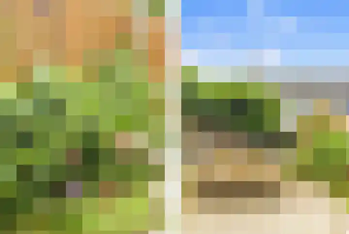 Rijksweg 136 b Limmen thumbnail 39