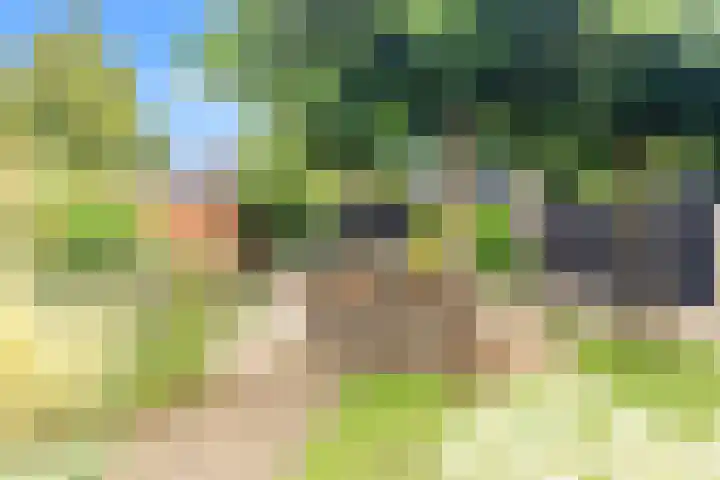 Rijksweg 136 b Limmen thumbnail 40