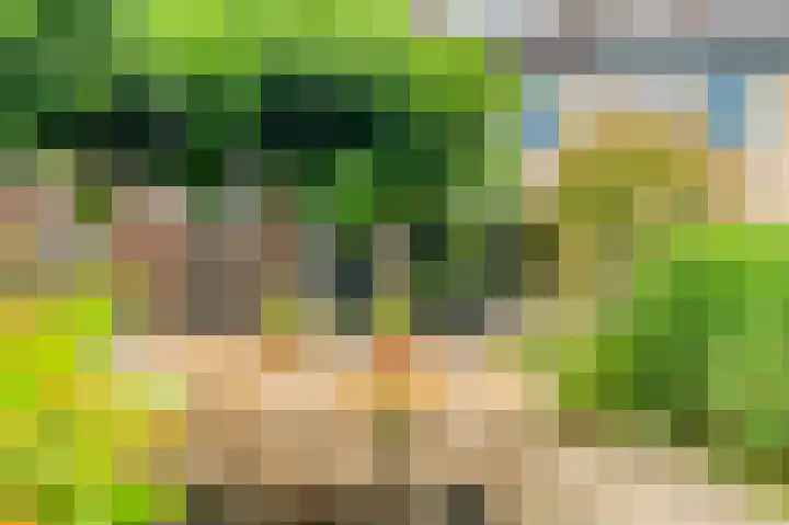 Rijksweg 136 b Limmen thumbnail 41