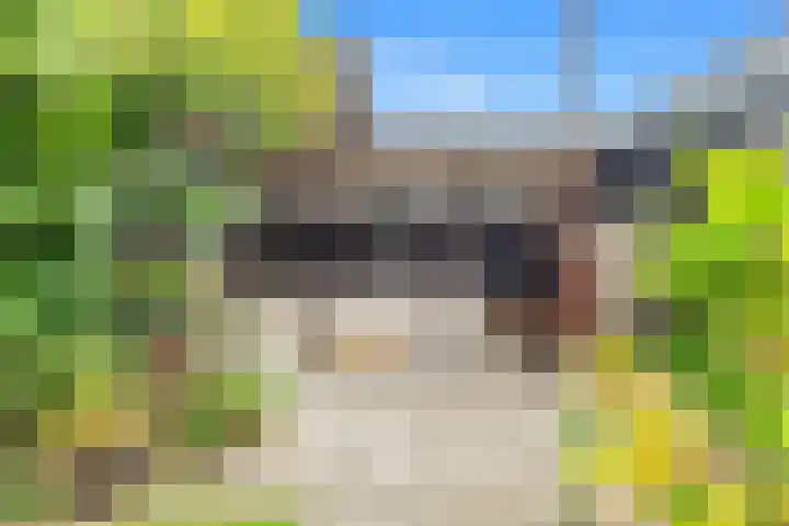 Rijksweg 136 b Limmen thumbnail 44