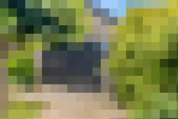 Rijksweg 136 b Limmen thumbnail 45