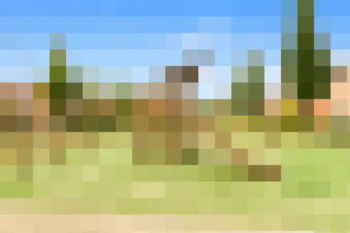 Rijksweg 136 b Limmen thumbnail 48