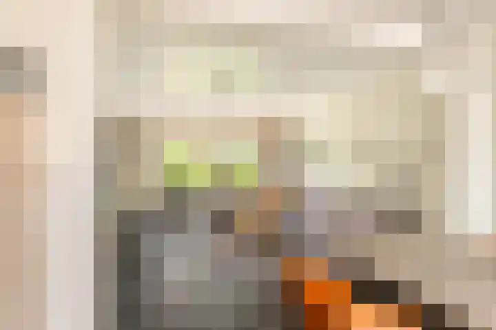 Rijksweg 136 b Limmen thumbnail 7