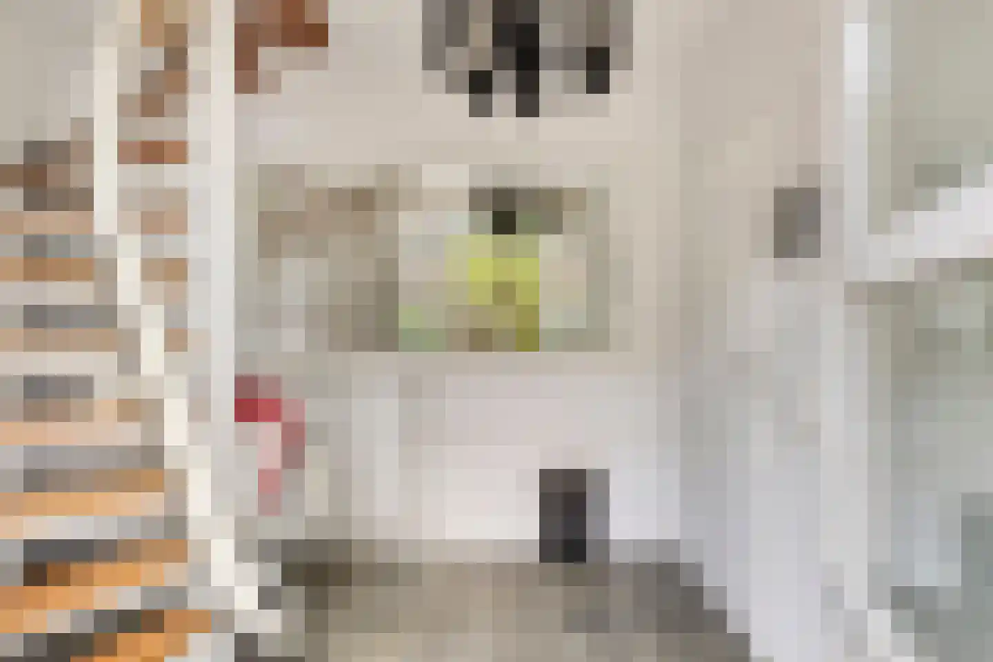 Rijksweg 137 Mook thumbnail 13